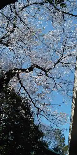 子安神社の自然