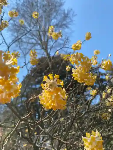 芳賀天満宮(栃木県)