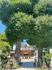 亀ケ池八幡宮の自然