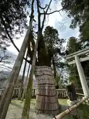 白山比咩神社(石川県)