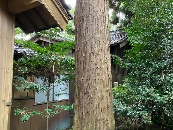 南宮御旅神社(岐阜県)