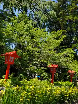 神炊館神社 ⁂奥州須賀川総鎮守⁂(福島県)