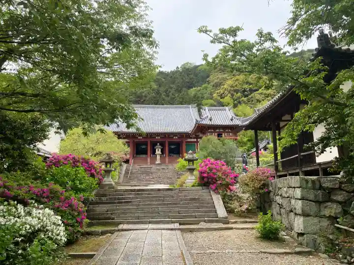 矢田寺観音堂の{uncategorized: "未分類", other: "その他", undefined: "問題あり", building: "その他建物", grave: "お墓", sacred_gate: "鳥居", guardian: "狛犬", statue: "像", buddha: "仏像", history: "歴史", nature: "自然", garden: "庭園", animal: "動物", pagoda: "塔", temizu: "手水舎", mountain_gate: "山門・神門", sanctuary: "本殿・本堂", subordinate: "末社・摂社", art: "芸術", scenery: "景色", jizo: "地蔵", ema: "絵馬", goshuin: "御朱印", omikuji: "おみくじ", items: "授与品その他", amulet: "お守り", goshuincho: "御朱印帳", eats: "食事", festival: "お祭り", votive_dance: "神楽", shichigosan: "七五三参", wedding: "結婚式", experience: "体験その他", initially: "初詣", around: "周辺", anti_infection: "感染症対策"}
