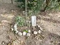 若之神社(三重県)