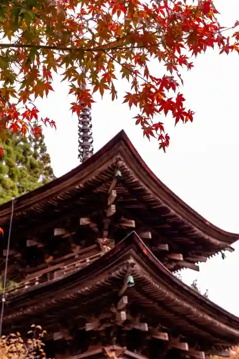 新海三社神社(長野県)