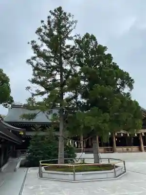 寒川神社(神奈川県)