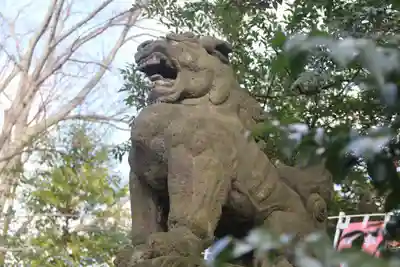 愛宕神社の狛犬