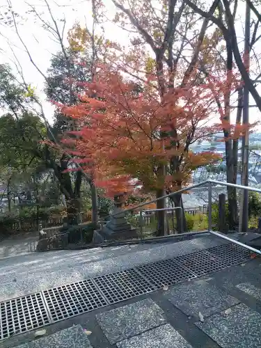 阿智神社の自然