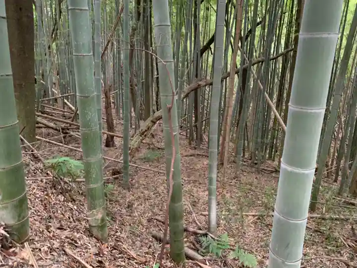 八幡神社(千葉県)