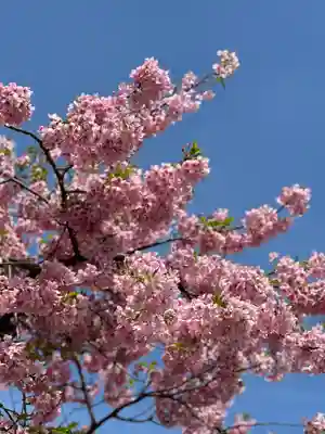 かっぱの寺 栖足寺(静岡県)