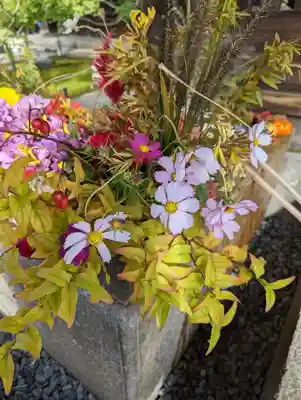 勝林寺(京都府)