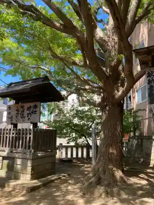意富比神社(千葉県)