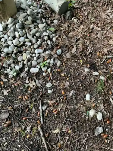 民草神社の自然