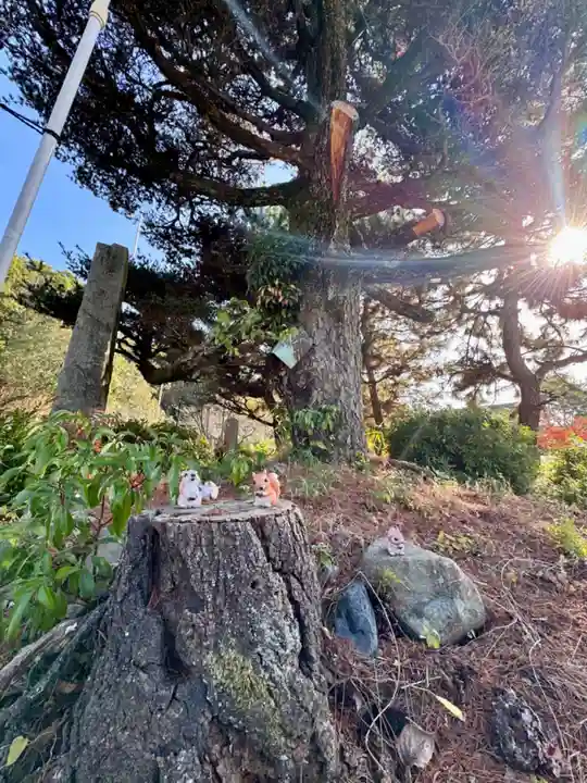 京都乃木神社(京都府)