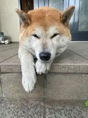 笠䅣稲荷神社(神奈川県)