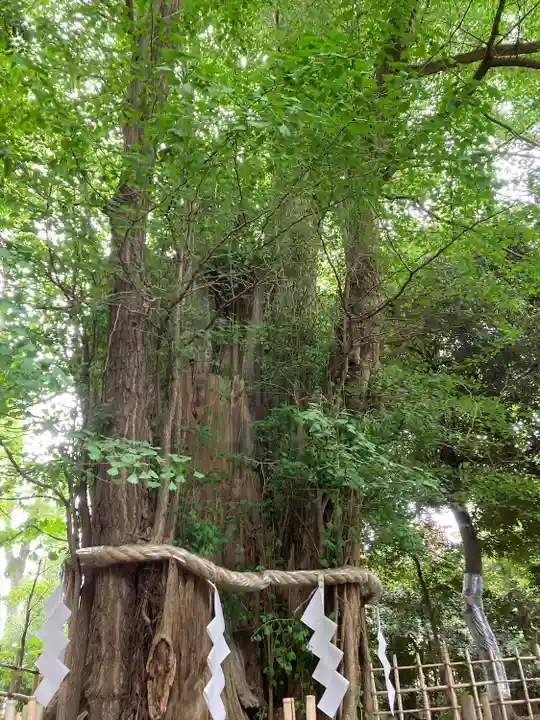 大國魂神社(東京都)