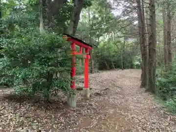 神社(名称不明)の鳥居