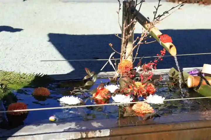 成田山川越別院の{uncategorized: "未分類", other: "その他", undefined: "問題あり", building: "その他建物", grave: "お墓", sacred_gate: "鳥居", guardian: "狛犬", statue: "像", buddha: "仏像", history: "歴史", nature: "自然", garden: "庭園", animal: "動物", pagoda: "塔", temizu: "手水舎", mountain_gate: "山門・神門", sanctuary: "本殿・本堂", subordinate: "末社・摂社", art: "芸術", scenery: "景色", jizo: "地蔵", ema: "絵馬", goshuin: "御朱印", omikuji: "おみくじ", items: "授与品その他", amulet: "お守り", goshuincho: "御朱印帳", eats: "食事", festival: "お祭り", votive_dance: "神楽", shichigosan: "七五三参", wedding: "結婚式", experience: "体験その他", initially: "初詣", around: "周辺", anti_infection: "感染症対策"}