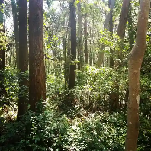 鹿島神宮の自然