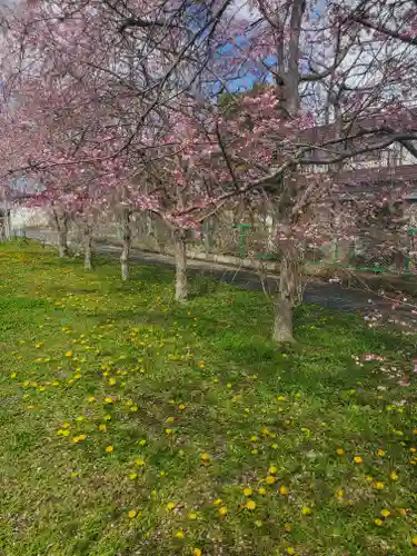 笠間稲荷神社の自然