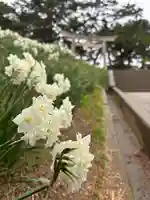 住吉神社(兵庫県)