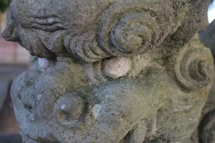 静岡神明宮の狛犬