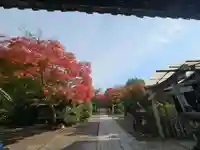 養源院(京都府)