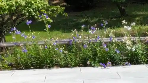  智積院(京都府)