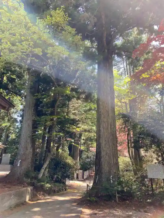 西照神社(徳島県)