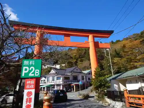 箱根神社の鳥居