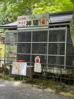 日吉大社(滋賀県)