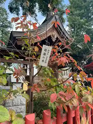 川越八幡宮(埼玉県)