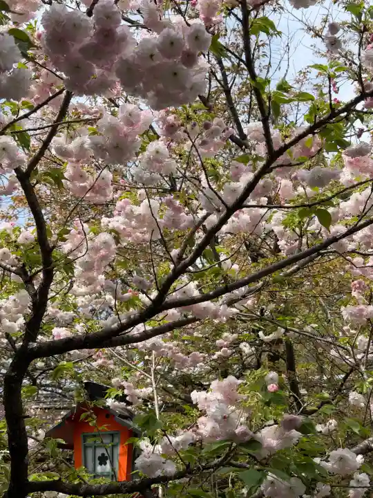 平野神社の{uncategorized: "未分類", other: "その他", undefined: "問題あり", building: "その他建物", grave: "お墓", sacred_gate: "鳥居", guardian: "狛犬", statue: "像", buddha: "仏像", history: "歴史", nature: "自然", garden: "庭園", animal: "動物", pagoda: "塔", temizu: "手水舎", mountain_gate: "山門・神門", sanctuary: "本殿・本堂", subordinate: "末社・摂社", art: "芸術", scenery: "景色", jizo: "地蔵", ema: "絵馬", goshuin: "御朱印", omikuji: "おみくじ", items: "授与品その他", amulet: "お守り", goshuincho: "御朱印帳", eats: "食事", festival: "お祭り", votive_dance: "神楽", shichigosan: "七五三参", wedding: "結婚式", experience: "体験その他", initially: "初詣", around: "周辺", anti_infection: "感染症対策"}