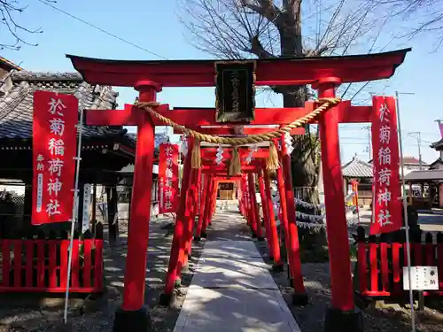 於菊稲荷神社の鳥居