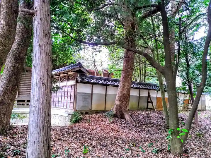 八幡社(西切八幡社)の自然