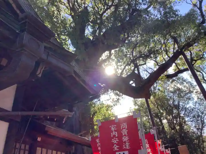 住吉大社(大阪府)