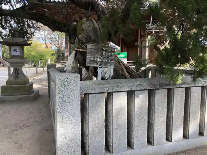 高砂神社の自然