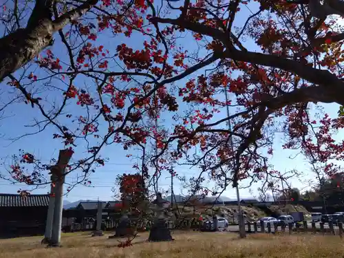 琵琶神社(福井県)