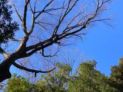 代々木八幡宮の景色