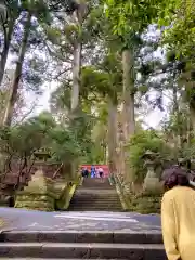 箱根神社の建物その他