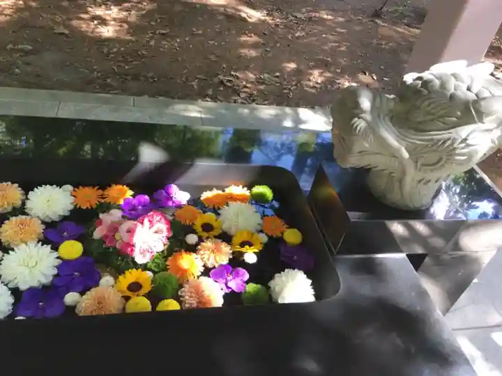 大谷地神社の手水舎