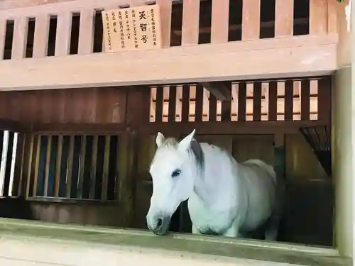 伊勢神宮外宮（豊受大神宮）の動物