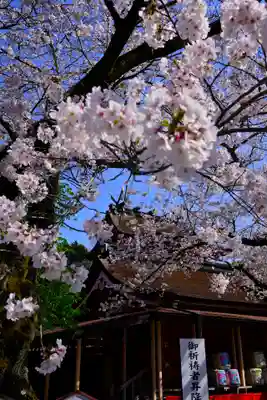 富士山本宮浅間大社(静岡県)
