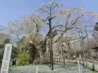 光琳寺(栃木県)