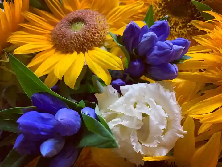 滑川神社 - 仕事と子どもの守り神の手水舎