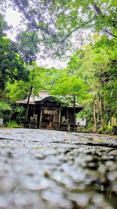 七百餘所神社 の本殿・本堂