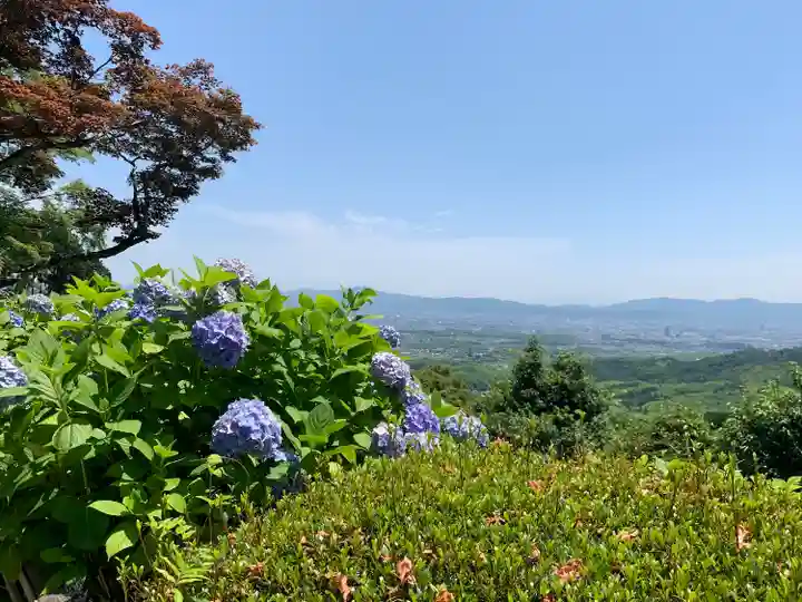 善峯寺(京都府)