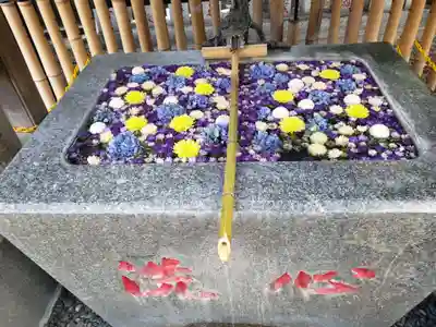 高円寺氷川神社の手水舎