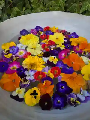 今戸神社(東京都)