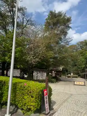 櫻木神社(千葉県)